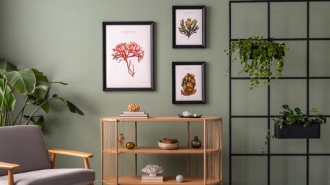 kolor ścian w salonie - aranżacja salonu z zieloną ścianą